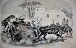 XVIII secolo </br>Un corricolo sulla strada da Napoli a Portici</br> Stampa (mm 245 x 155)