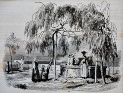 Le Locle 1813 - 1871 </br>Una fontana di Amalfi</br> Litografia (cm 15 x 12)
