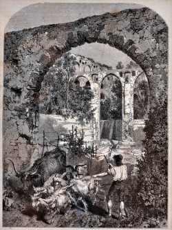 XIX secolo </br>Il Ponte del Diavolo a Salerno</br> Stampa (mm 220 x 160)