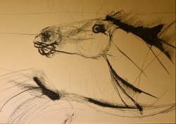 Piacenza 1912 – Milano 1992 </br>Testa in abbrivio</br> Serigrafia (mm 320 x 450)