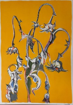 Matera 1932 – 1996 </br>I cardi</br> Litografia (mm 700 x 500)