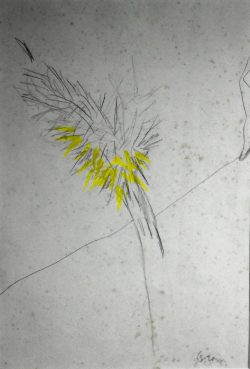 Melfi 1957 – Roma 2004</br> Senza titolo</br> Tecnica mista (mm 460 x 310)